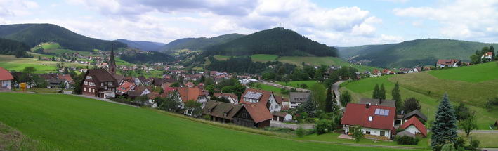 Panorama Baiersbronn - Blick ins Tal 