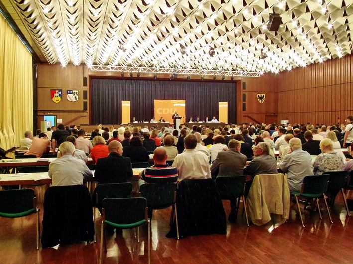 die Delegierten im Saal der Stadthalle Sinsheim