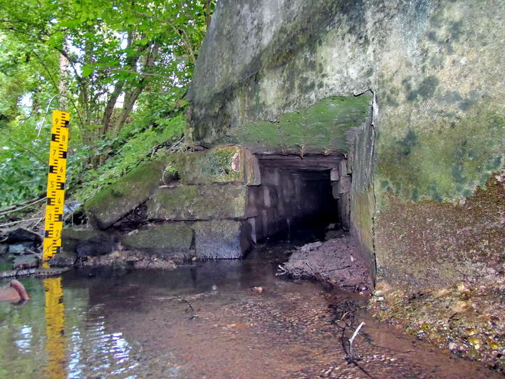 der Zufluss vom Rossweiher