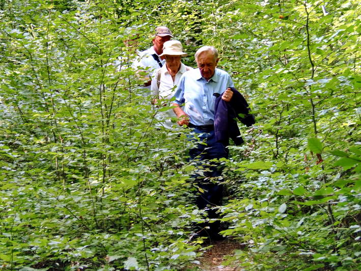  auf dem Pfad durch das Dickicht