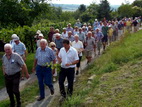 Weinbergwanderung in tisheim - bitte klicken