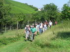 Bilder - Wanderung mit Gunther Krichbaum von Sternenfels - Eppinger Linie nach Diefenbach - bitte klicken