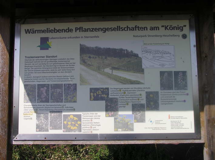 Erklrung auf dem "Knig"