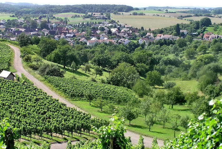 ber die Weinberge lockt ein Blick nach Diefenbach