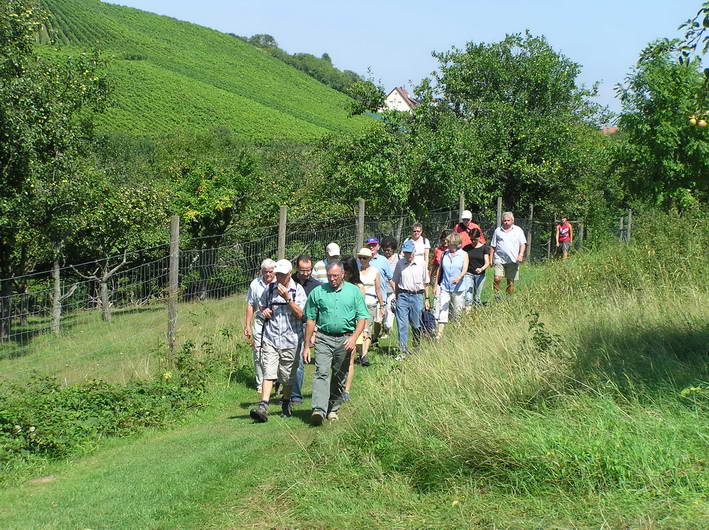 auf dem historischen Weg der "Eppinger Linie" 