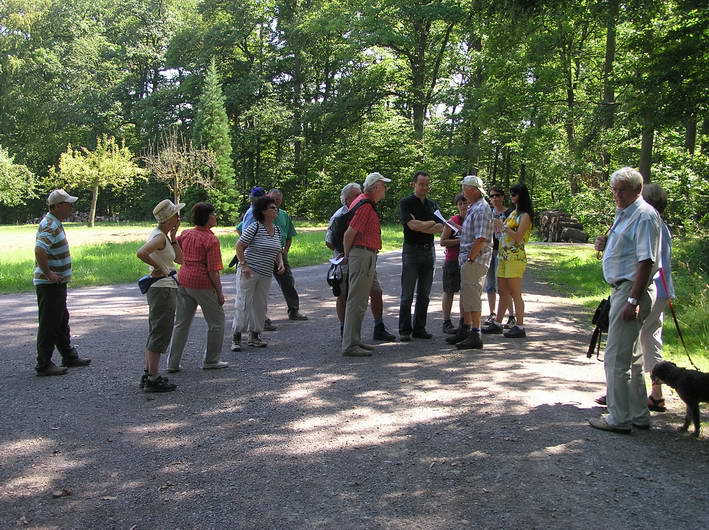 kurze Rast der Wandergruppe zwischen Sternenfels und Diefenbach