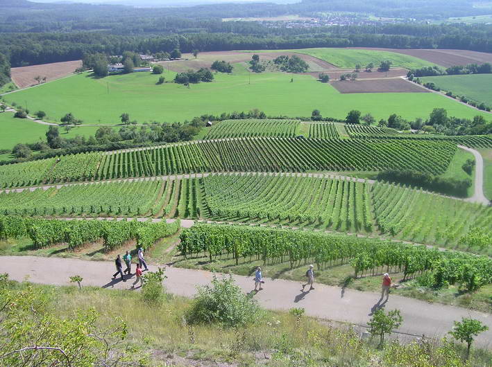 die Wandergruppe auf dem "Knig"