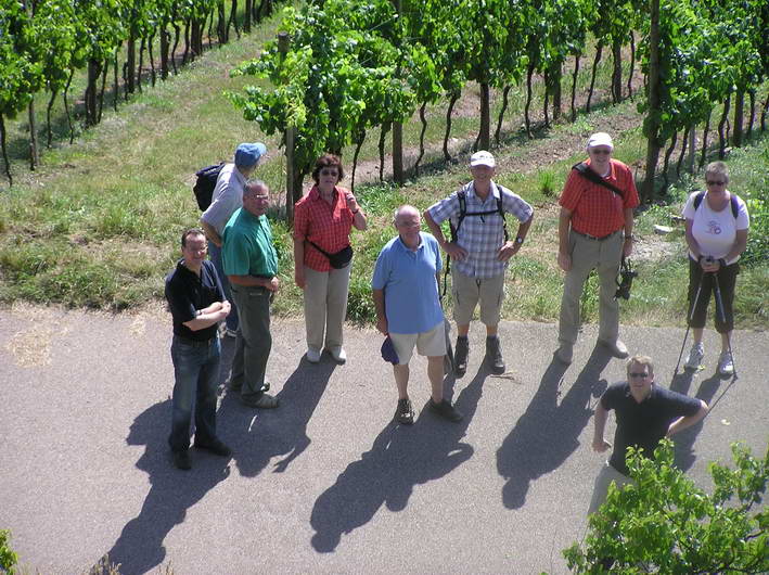 die Wandergruppe auf dem "Knig" - von oben betrachtet