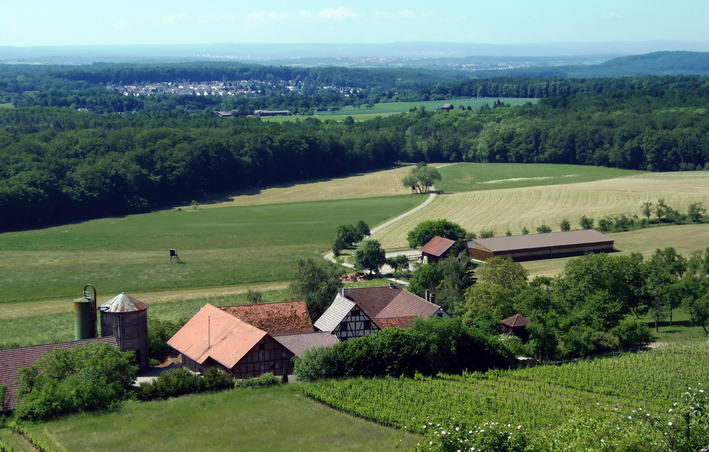 Abschied vom Scheuelberg - zum Panoramabild bitte klicken