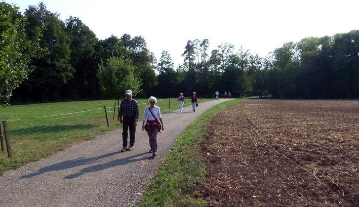 kurz vor dem Ziel Scheuelberg