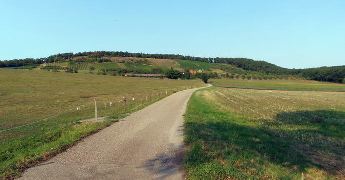 kurz vor dem Ziel Scheuelberg - zum Panoramabild bitte klicken