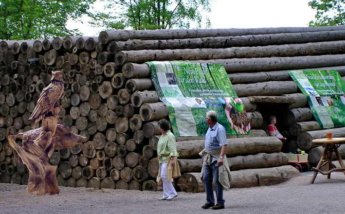 ein echtes "Baum-Stamm-Haus"