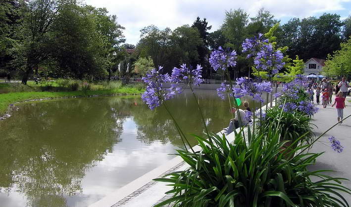 Wasser und Blumen - immer eine Pracht - und was verbirgt sich hinter den Blumen?