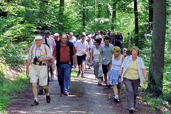 die Wandergruppe mitten im Wald Richtung Oberderdingen