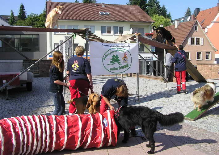 die Rettungshundestaffel nrdlicher Schwarzwald